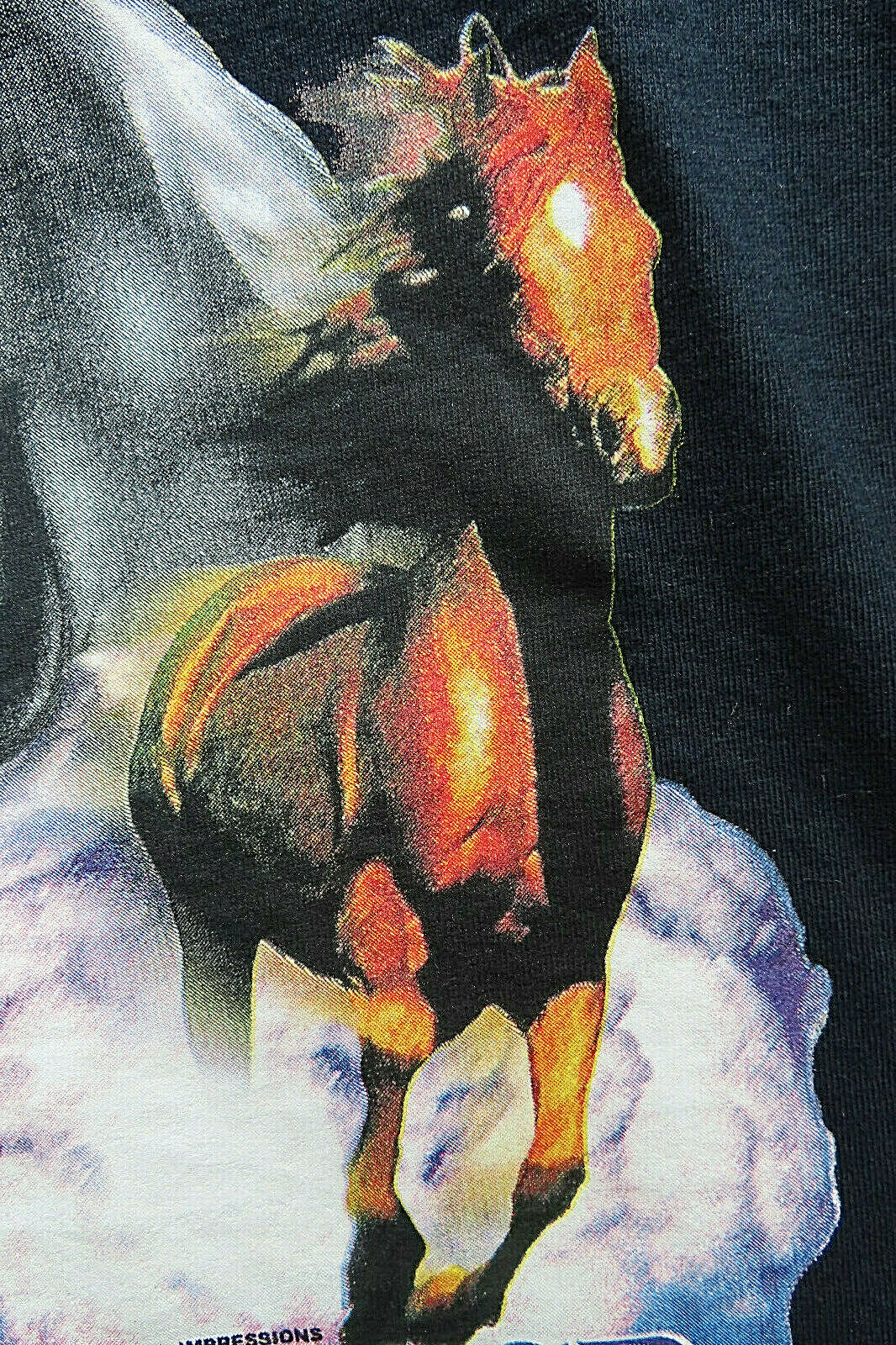 Sky Dancer Native Pride Horses, Graphite Men’s T-Shirt Size M.