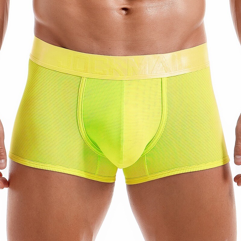 Mens Sexy Underwear Mesh Boxershorts Breathable Soft Underpants Gay Male Panties