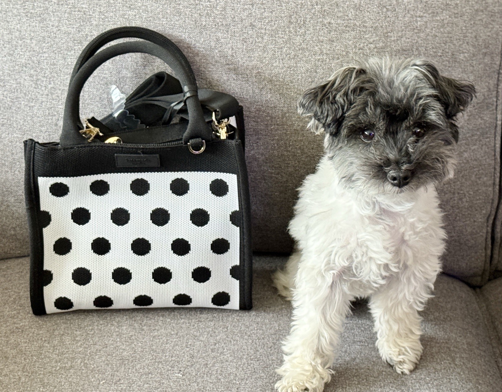 Kate Spade New York X Target Collab Polka dot Knit Crossbody Bag (read)